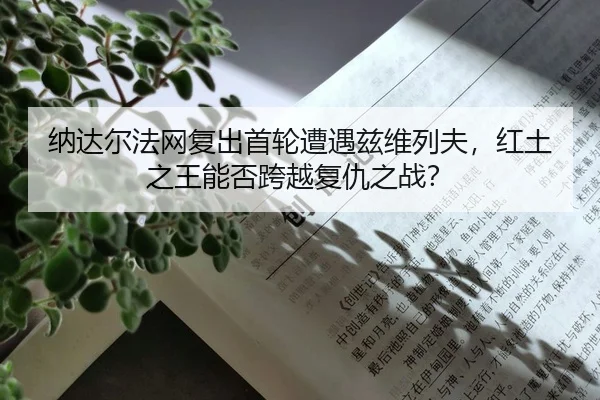 na-da-er-fa-wang-fu-chu-shou-lun-zao-yu-zi-wei-lie-fu-hong-tu-zhi-wang-neng-fou-kua-yue-fu-chou-zhi-zhan-2-749.jpg